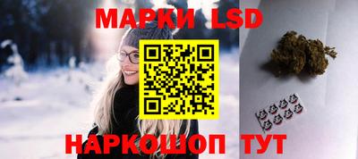 apvp Бийск