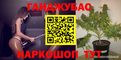 apvp Бийск