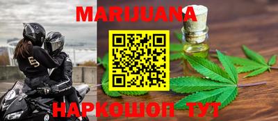 apvp Бийск
