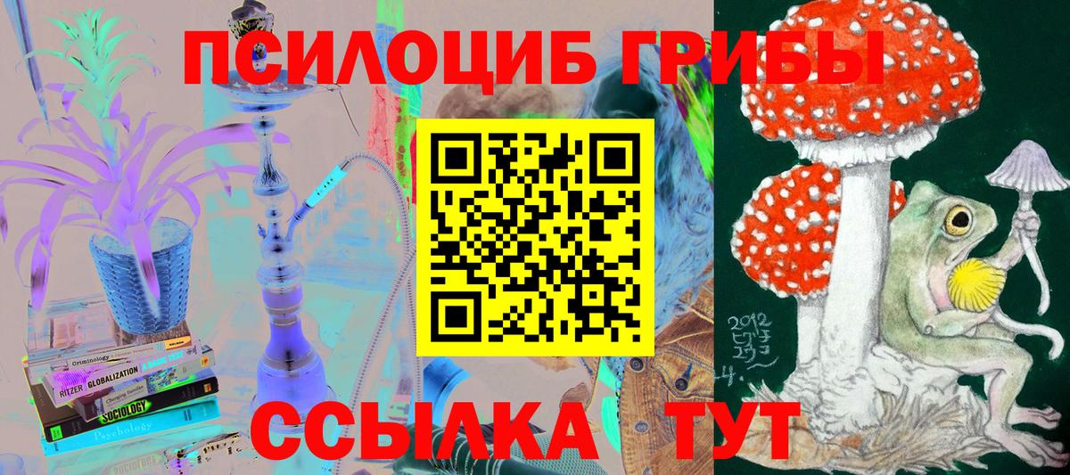 Псилоцибиновые грибы Psilocybe Домодедово