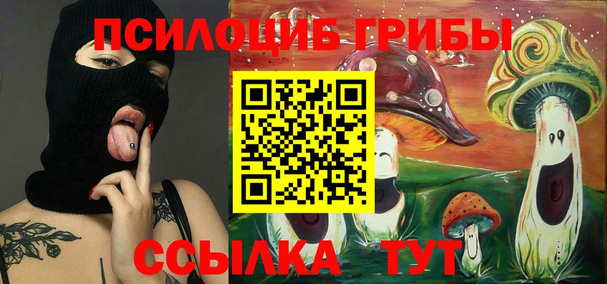 Домодедово  Галлюциногенные грибы GOLDEN TEACHER  Галлюциногенные грибы GOLDEN TEACHER  Вход с VPN 